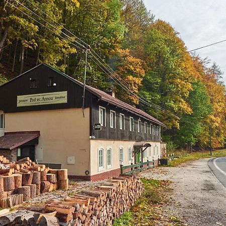 POD SVATOU ANNOU - penzion a kavárna Horní Maršov Exteriér fotografie